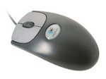 mouse pic